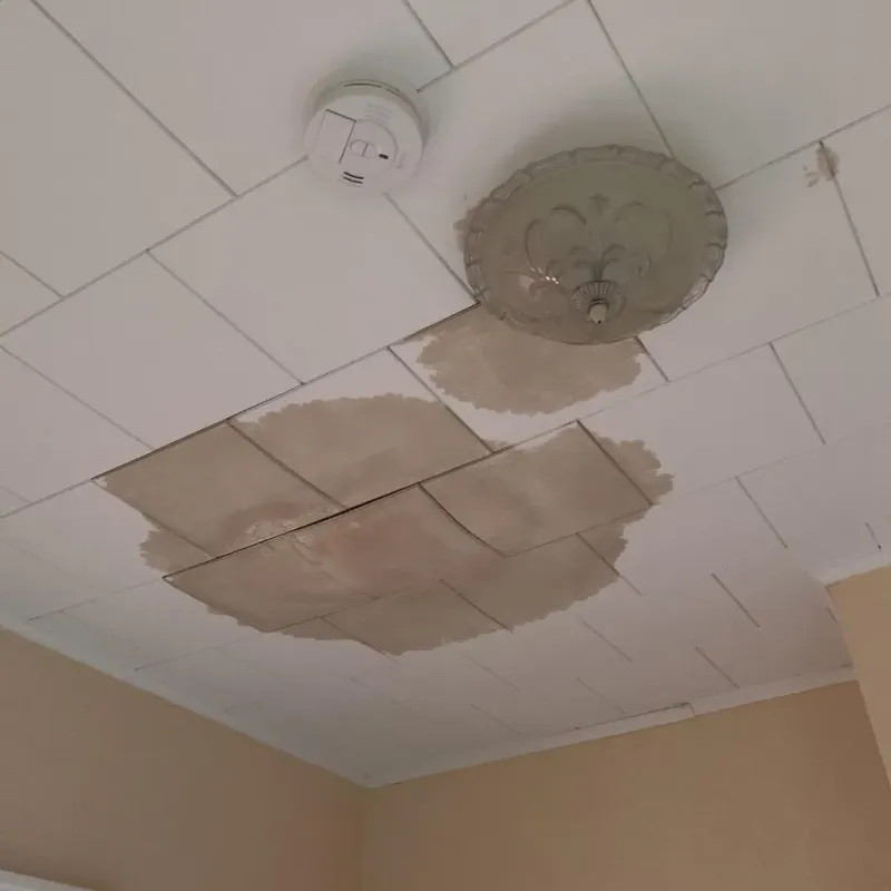 Ceiling Water Damage Repair in Grafton, ND