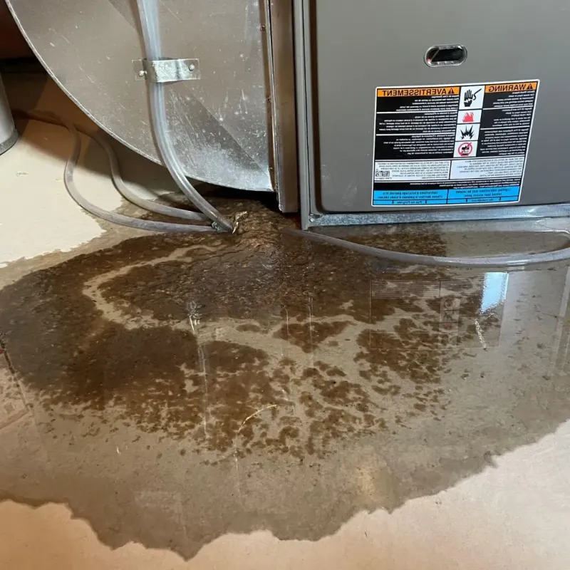 Pipe Burst and Leak Restoration in Grafton, ND