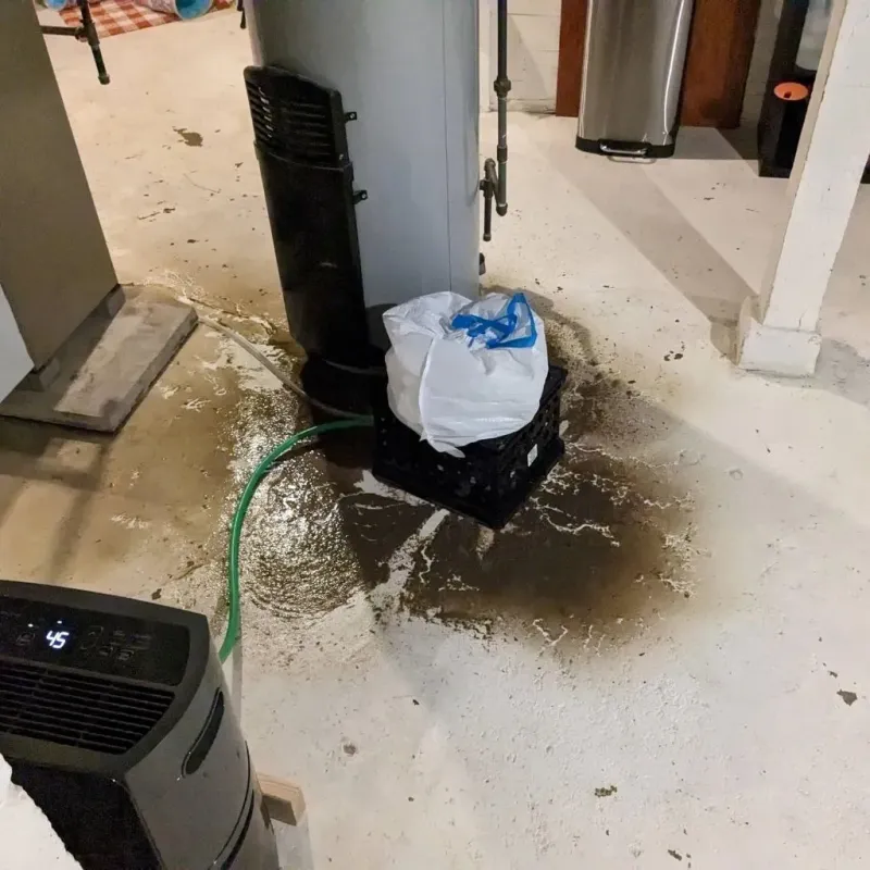 Sewage Backup Cleanup Service in Grafton, ND